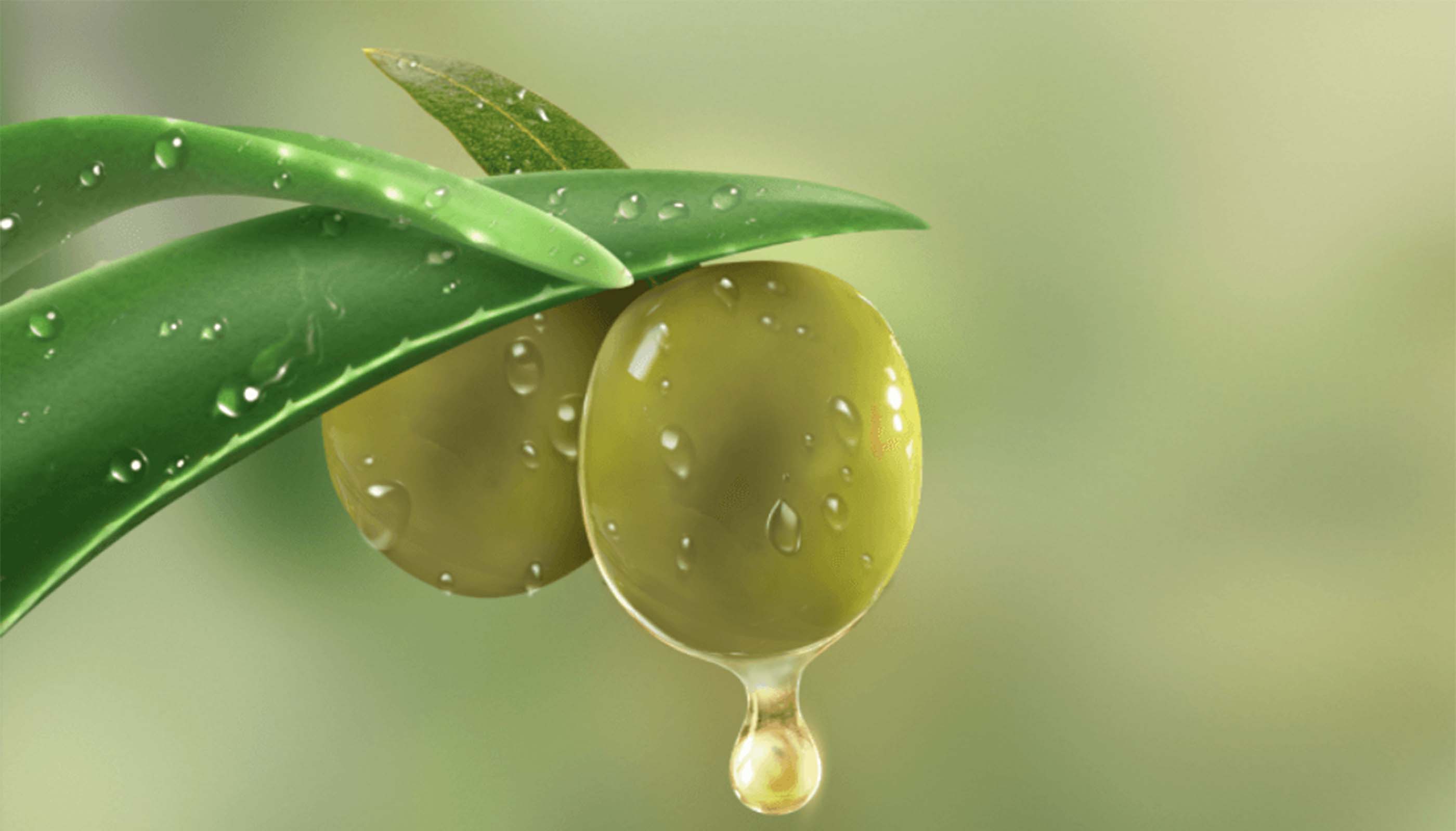 Acciones sustentables de Palmolive México